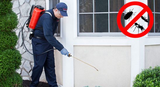Şarkikaraağaç Böcek ve Haşere İlaçlama böcek ilaçlama ve haşere kontrolü — ilaclama-tr.com